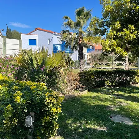 Daire Magnifique T2 - Emeraude 41 Canet-en-Roussillon